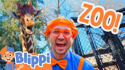 blippi turkey|blippi the zoo.